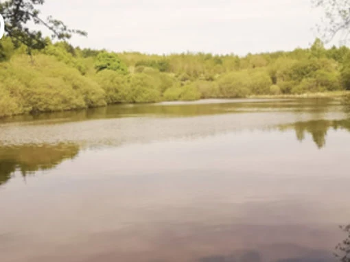 Walk 1: Beamish Valley