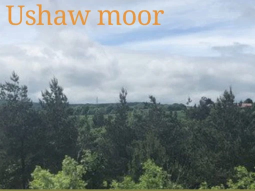 Walk 3: Ushaw Moor
