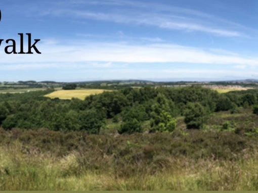 Walk 5: Waldridge Fell